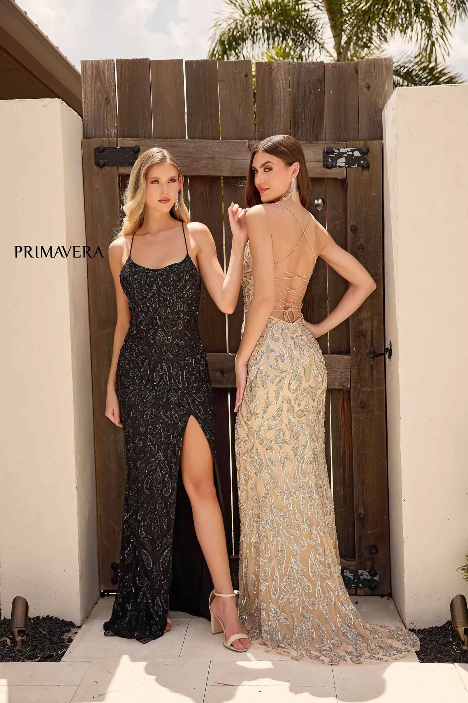 Primavera 4312